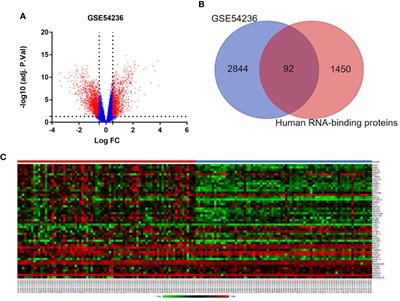 Systematic Construction and Validation of an RNA-Binding Protein-Associated Model for Prognosis Prediction in Hepatocellular Carcinoma